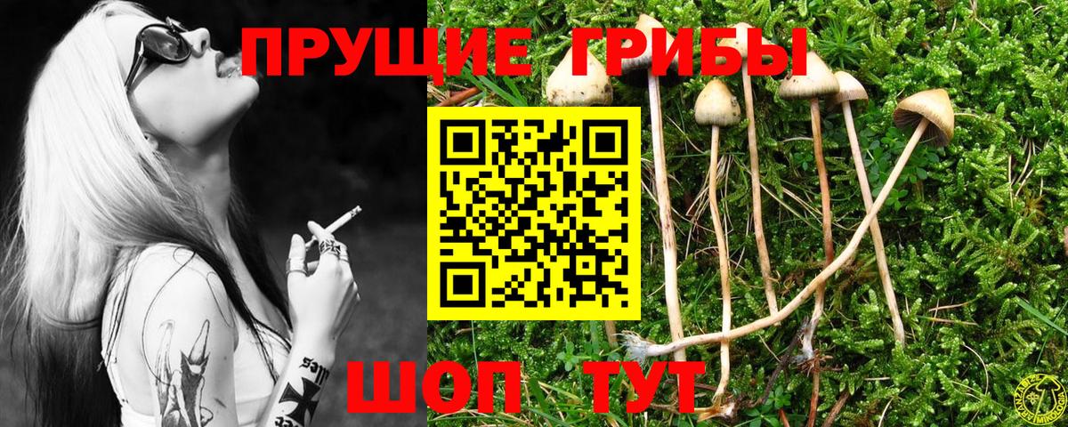 Псилоцибиновые грибы Cubensis Алушта
